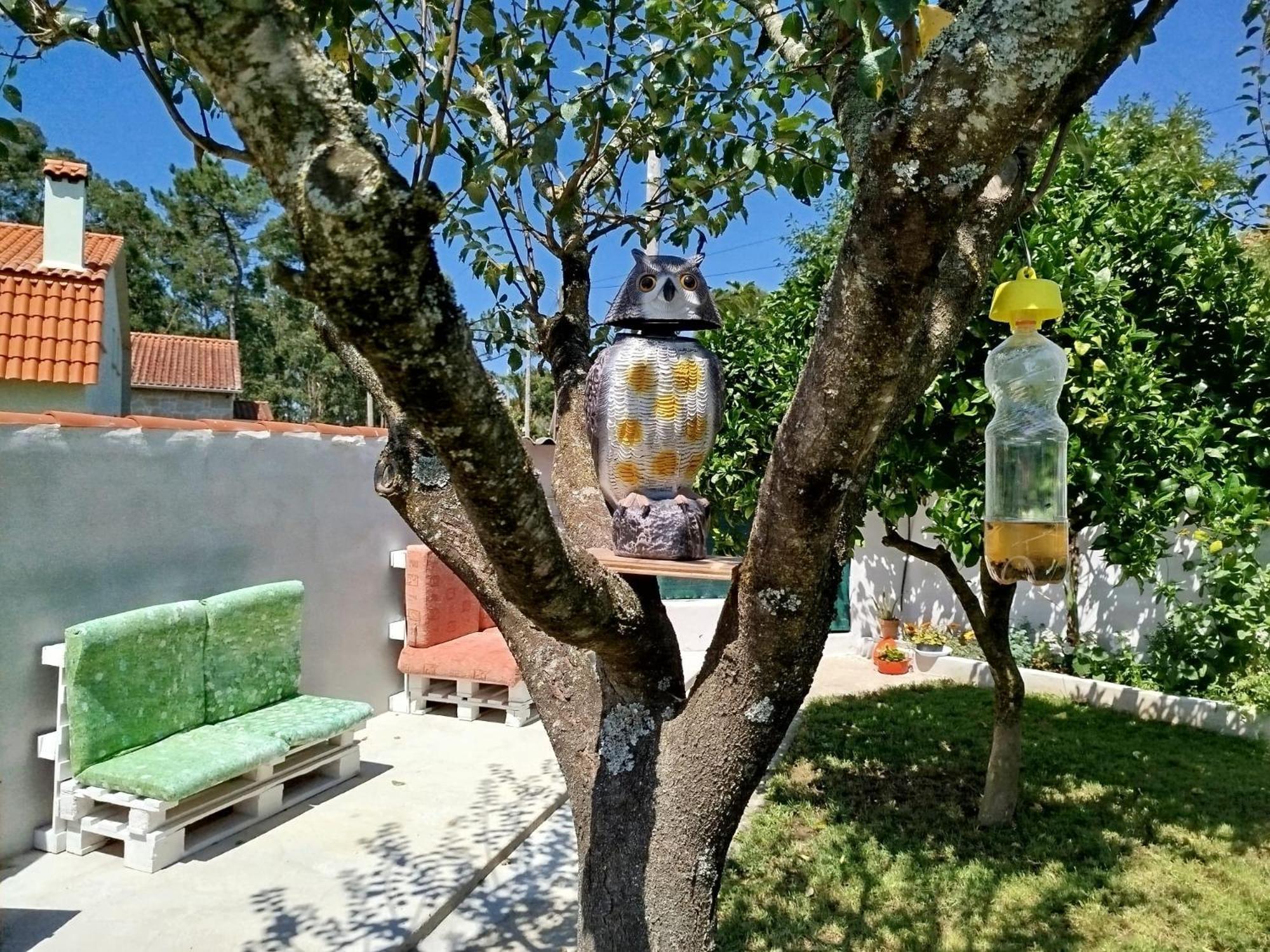A Telleira Villa Rosal Kültér fotó