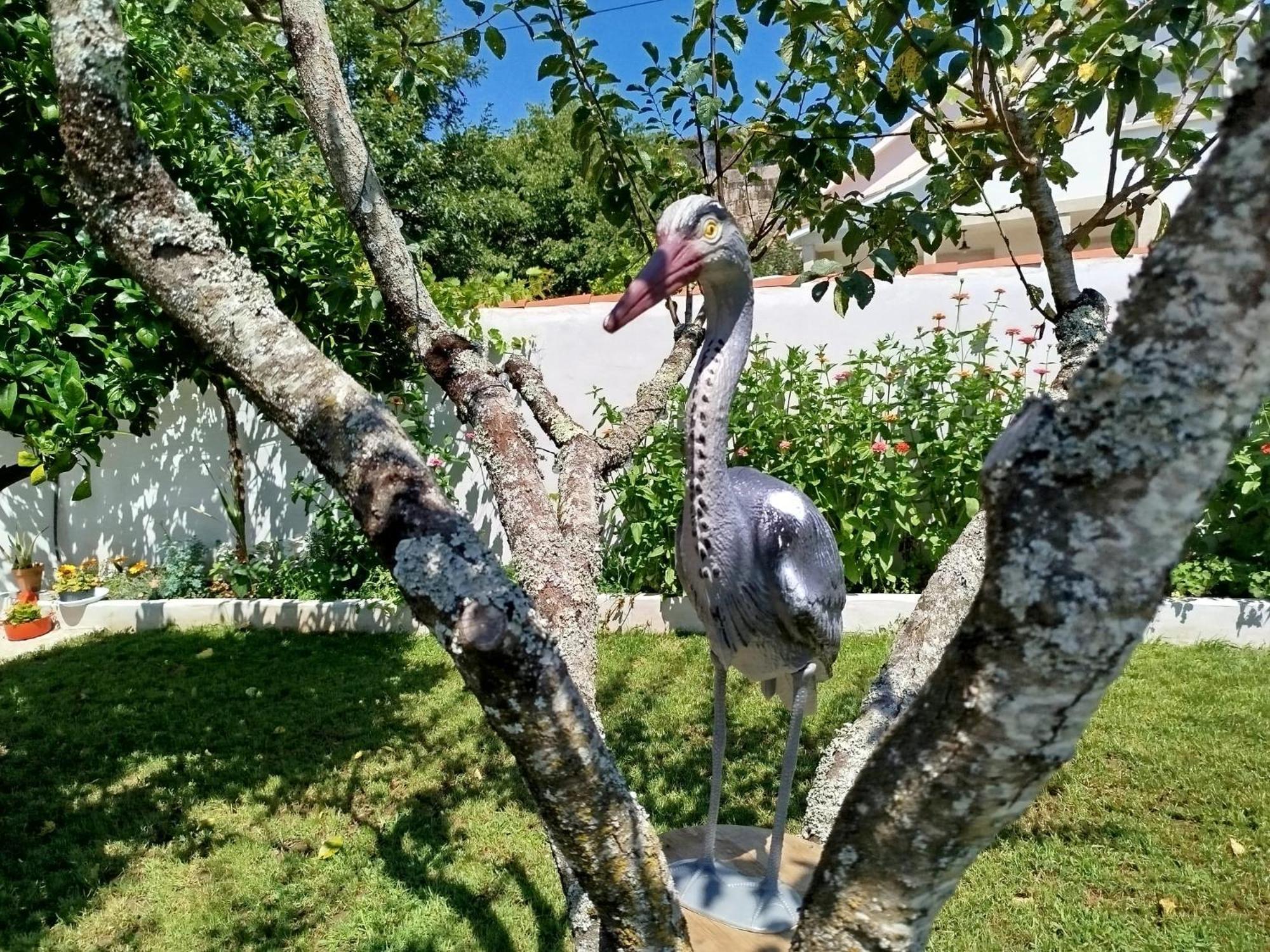 A Telleira Villa Rosal Kültér fotó